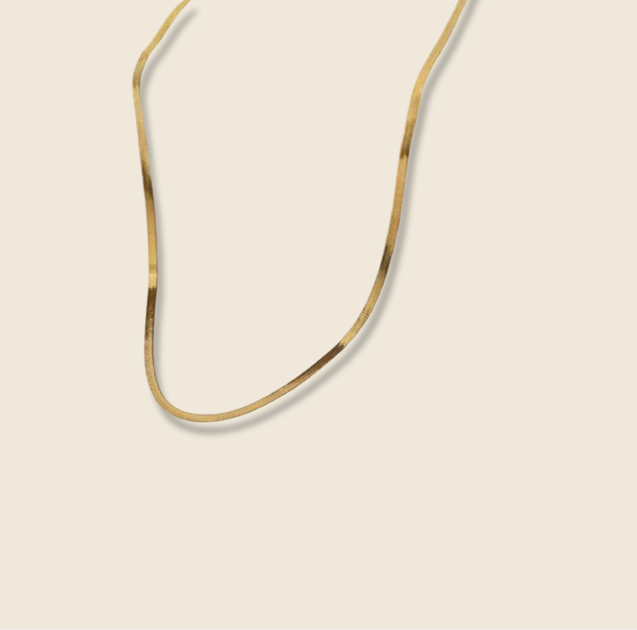 FLAT SNAKE CHOKER | 2MM